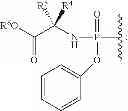 Fig. 27 - 2'-METHYL SUBSTITUTED NUCLEOSIDE DERIVATIVES AND METHODS OF USE THEREOF FOR THE TREATMENT OF VIRAL DISEASES