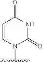 Fig. 28 - 2'-METHYL SUBSTITUTED NUCLEOSIDE DERIVATIVES AND METHODS OF USE THEREOF FOR THE TREATMENT OF VIRAL DISEASES