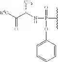 Fig. 30 - 2'-METHYL SUBSTITUTED NUCLEOSIDE DERIVATIVES AND METHODS OF USE THEREOF FOR THE TREATMENT OF VIRAL DISEASES