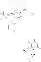 Fig. 52 - 2'-METHYL SUBSTITUTED NUCLEOSIDE DERIVATIVES AND METHODS OF USE THEREOF FOR THE TREATMENT OF VIRAL DISEASES