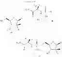 Fig. 57 - 2'-METHYL SUBSTITUTED NUCLEOSIDE DERIVATIVES AND METHODS OF USE THEREOF FOR THE TREATMENT OF VIRAL DISEASES