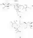 Fig. 60 - 2'-METHYL SUBSTITUTED NUCLEOSIDE DERIVATIVES AND METHODS OF USE THEREOF FOR THE TREATMENT OF VIRAL DISEASES