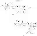 Fig. 63 - 2'-METHYL SUBSTITUTED NUCLEOSIDE DERIVATIVES AND METHODS OF USE THEREOF FOR THE TREATMENT OF VIRAL DISEASES