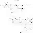 Fig. 64 - 2'-METHYL SUBSTITUTED NUCLEOSIDE DERIVATIVES AND METHODS OF USE THEREOF FOR THE TREATMENT OF VIRAL DISEASES