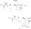 Fig. 65 - 2'-METHYL SUBSTITUTED NUCLEOSIDE DERIVATIVES AND METHODS OF USE THEREOF FOR THE TREATMENT OF VIRAL DISEASES