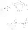 Fig. 74 - 2'-METHYL SUBSTITUTED NUCLEOSIDE DERIVATIVES AND METHODS OF USE THEREOF FOR THE TREATMENT OF VIRAL DISEASES