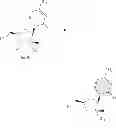Fig. 75 - 2'-METHYL SUBSTITUTED NUCLEOSIDE DERIVATIVES AND METHODS OF USE THEREOF FOR THE TREATMENT OF VIRAL DISEASES