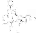 Fig. 79 - 2'-METHYL SUBSTITUTED NUCLEOSIDE DERIVATIVES AND METHODS OF USE THEREOF FOR THE TREATMENT OF VIRAL DISEASES