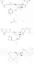 Fig. 91 - 2'-METHYL SUBSTITUTED NUCLEOSIDE DERIVATIVES AND METHODS OF USE THEREOF FOR THE TREATMENT OF VIRAL DISEASES