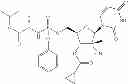 Fig. 96 - 2'-METHYL SUBSTITUTED NUCLEOSIDE DERIVATIVES AND METHODS OF USE THEREOF FOR THE TREATMENT OF VIRAL DISEASES