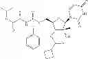 Fig. 97 - 2'-METHYL SUBSTITUTED NUCLEOSIDE DERIVATIVES AND METHODS OF USE THEREOF FOR THE TREATMENT OF VIRAL DISEASES