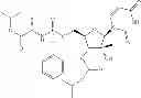 Fig. 98 - 2'-METHYL SUBSTITUTED NUCLEOSIDE DERIVATIVES AND METHODS OF USE THEREOF FOR THE TREATMENT OF VIRAL DISEASES