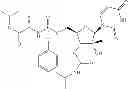 Fig. 99 - 2'-METHYL SUBSTITUTED NUCLEOSIDE DERIVATIVES AND METHODS OF USE THEREOF FOR THE TREATMENT OF VIRAL DISEASES