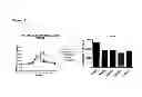Fig. 13 - Soft protease inhibitors and pro-soft forms thereof