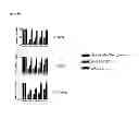 Fig. 17 - Soft protease inhibitors and pro-soft forms thereof
