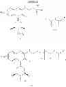 Fig. 294 - Phosphorus-substituted quinoxaline-type piperidine compounds and uses thereof