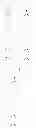 Fig. 40 - Phosphorus-substituted quinoxaline-type piperidine compounds and uses thereof