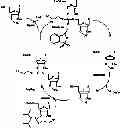 Fig. 19 - Oligonucleotide derivative, oligonucleotide derivative-containing pharmaceutical composition for treatment and pharmaceutical composition for diagnosis, and oligonucleotide derivative for regulation of miRNA function