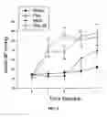 Fig. 03 - Na/K-ATPase ligand