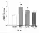 Fig. 10 - Na/K-ATPase ligand