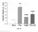 Fig. 12 - Na/K-ATPase ligand