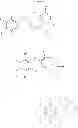 Fig. 19 - Heteroaromatic compounds and their use as dopamine D1 ligands