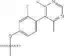 Fig. 74 - Heteroaromatic compounds and their use as dopamine D1 ligands