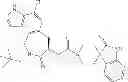 Fig. 29 - BENZAZEPINE COMPOUNDS AS CGRP RECEPTOR ANTAGONISTS