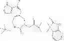 Fig. 30 - BENZAZEPINE COMPOUNDS AS CGRP RECEPTOR ANTAGONISTS
