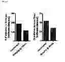 Fig. 02 - METHODS OF TREATING EPILEPTOGENESIS