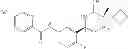 Fig. 255 - 5-substituted iminothiazines and their mono- and dioxides as BACE inhibitors, compositions, and their use