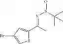Fig. 337 - 5-substituted iminothiazines and their mono- and dioxides as BACE inhibitors, compositions, and their use