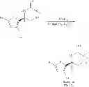 Fig. 357 - 5-substituted iminothiazines and their mono- and dioxides as BACE inhibitors, compositions, and their use