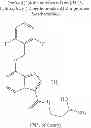 Fig. 239 - Hydroxy-substituted imidazo[1,2-a]pyridinecarboxamides and their use