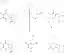 Fig. 65 - Hydroxy-substituted imidazo[1,2-a]pyridinecarboxamides and their use