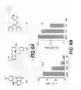 Fig. 07 - TARGETING AN HIV-1 NEF-HOST CELL KINASE COMPLEX