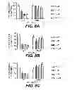 Fig. 09 - TARGETING AN HIV-1 NEF-HOST CELL KINASE COMPLEX