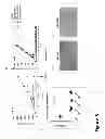Fig. 06 - Methods of treating cancer