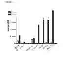 Fig. 12 - Synthetic lethal targeting of glucose transport