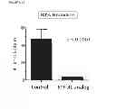 Fig. 15 - Synthetic lethal targeting of glucose transport