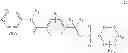 Fig. 17 - Synthetic lethal targeting of glucose transport