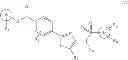 Fig. 27 - Synthetic lethal targeting of glucose transport