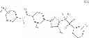 Fig. 31 - Synthetic lethal targeting of glucose transport