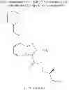 Fig. 216 - Hydroxy-substituted imidazo[1,2-a]-pyridinecarboxamides and their use