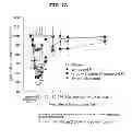 Fig. 02 - EP4 agonist