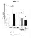 Fig. 10 - EP4 agonist