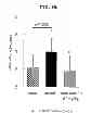 Fig. 20 - EP4 agonist