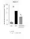 Fig. 23 - EP4 agonist