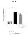 Fig. 24 - EP4 agonist