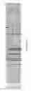 Fig. 07 - NOVEL NON-PRIMATE HEPACIVIRUS